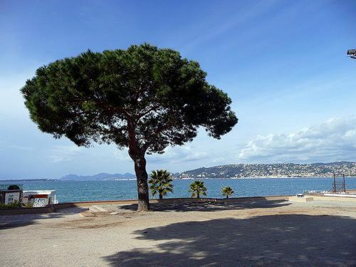 Appartement De Charme Coeur De Juan & Plages Antibes Zewnętrze zdjęcie